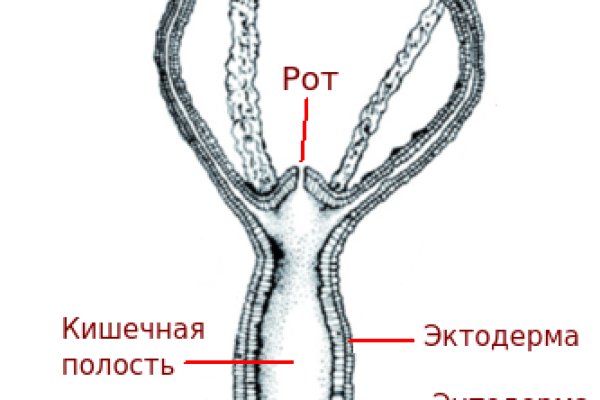 Купить наркотики в москве